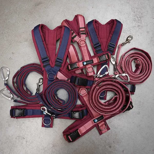 Limited Edition 2023 Politielijn Wishrose | Anny-x Best Sale