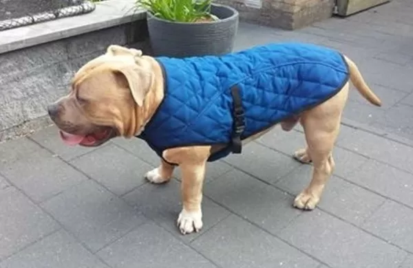 Jacket | Aqua Coolkeeper Fashion