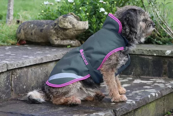 Hondenjas Charcoal 150 Gr | Bucas Discount