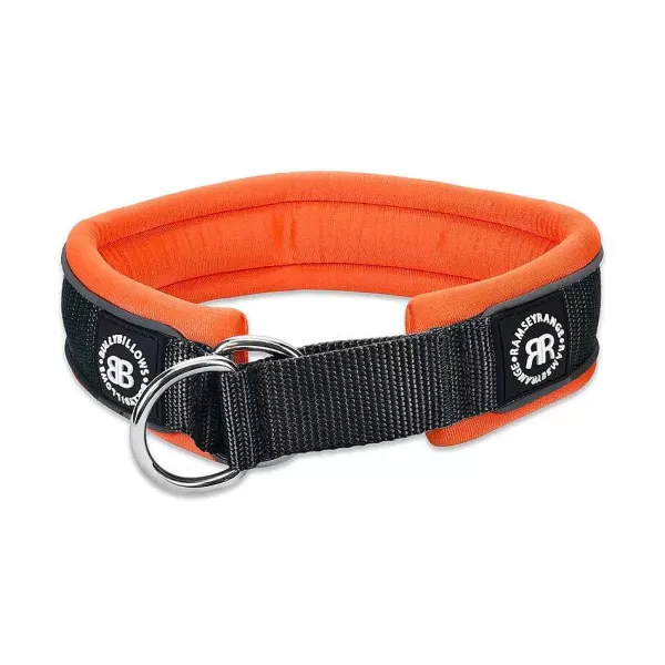 - 4Cm Slip On Collar 2-Tone | BullyBillows Discount