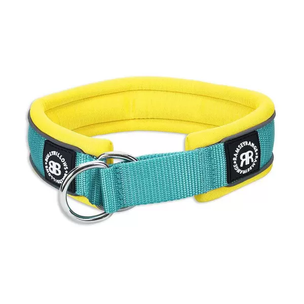 - 4Cm Slip On Collar 2-Tone | BullyBillows Discount