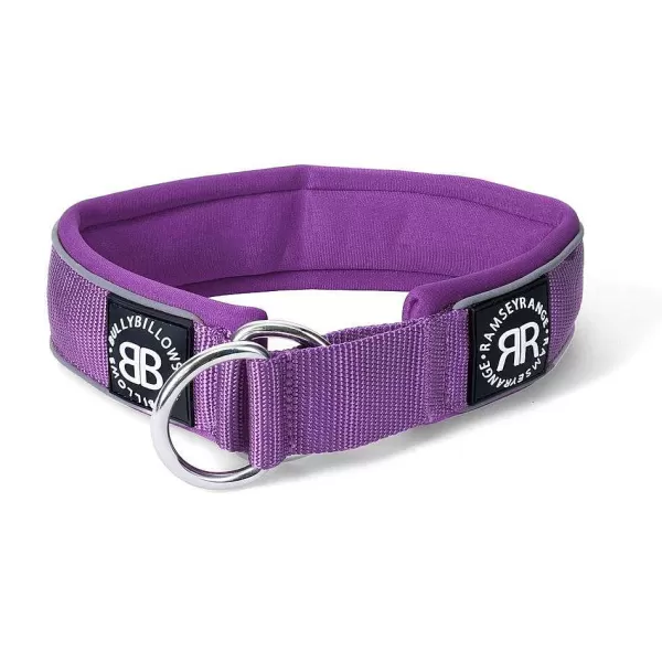 - 5Cm Slip On Collar | BullyBillows Store