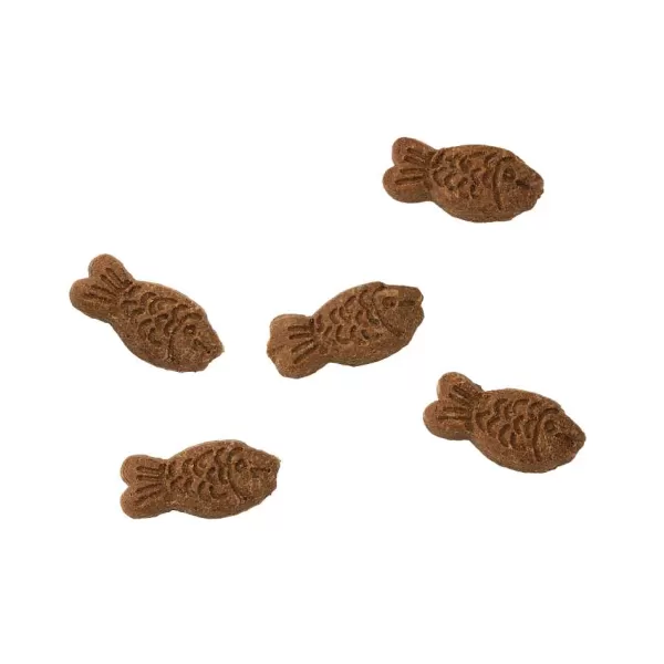 Haring Koekjes | Cooka's Cookies Sale