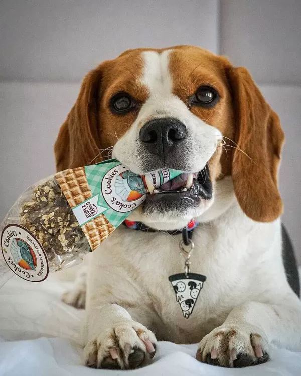 cookas_cookies_cookas_cookies_kisses_2.webp Kisses | Cooka's Cookies New