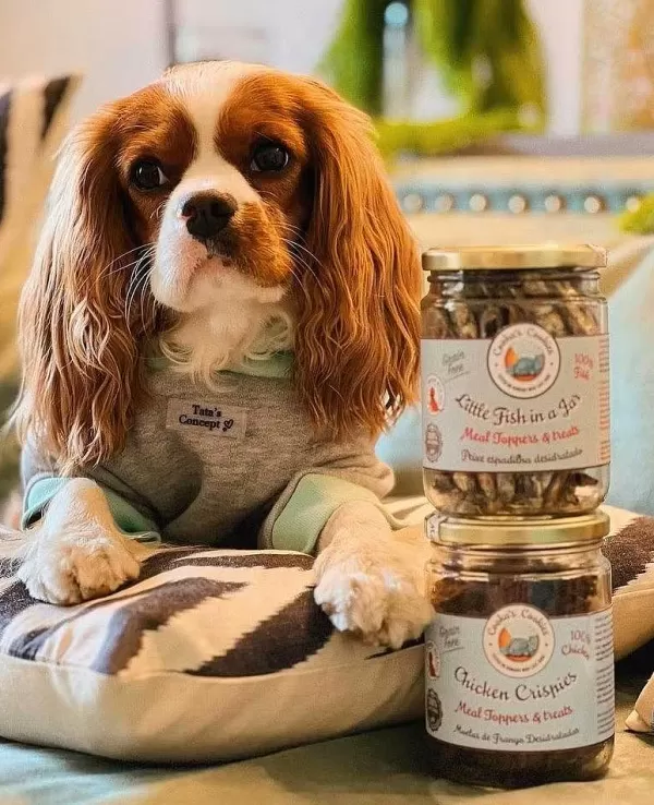 Little Fish In A Jar | Cooka's Cookies Best Sale