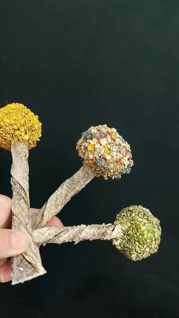 Lollipop | Cooka's Cookies Shop