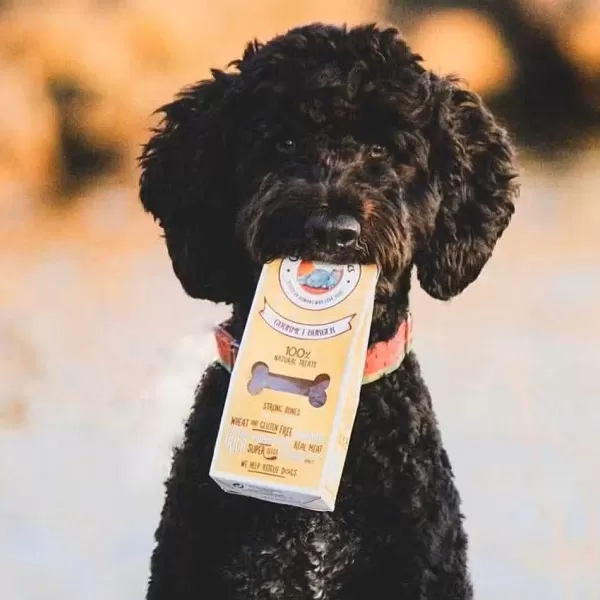 Natural Treats Gourmet Burger | Cooka's Cookies Clearance