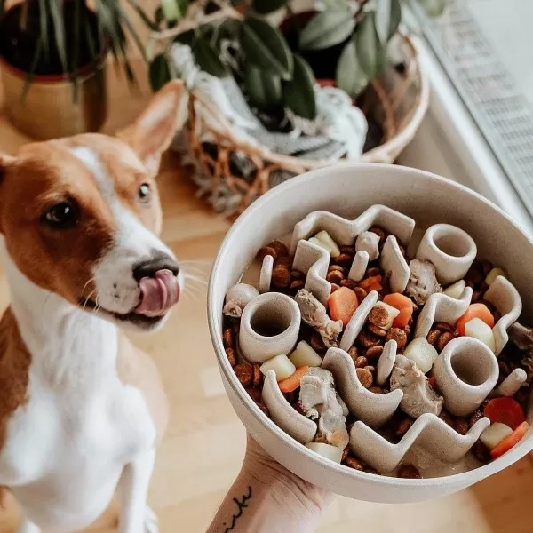 district_70_bamboo_antischrok_voerbak_1.webp District 70 Bamboo Anti-Schrok Voerbak | The Dog Lounge Sale