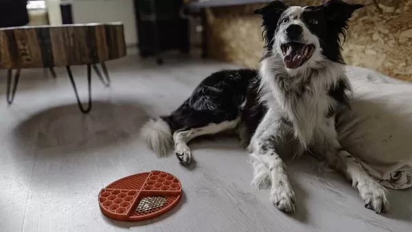 eat_slow_live_longer_lick_mat_dimensions_circle_10.webp Eat Slow Live Longer Lick Mat Dimensions Circle | The Dog Lounge Cheap