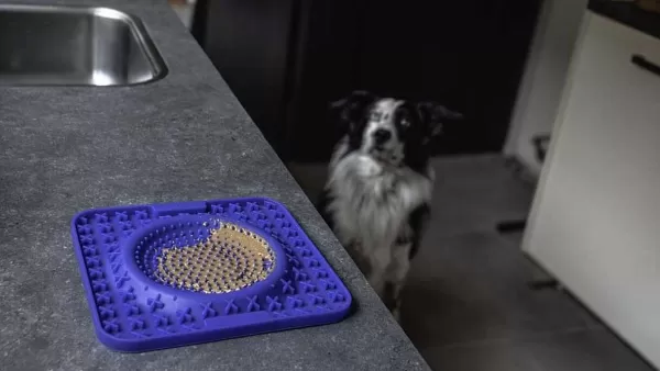 eat_slow_live_longer_lick_mat_wave_8.webp Eat Slow Live Longer Lick Mat Wave | The Dog Lounge New