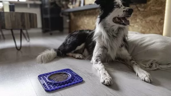 Eat Slow Live Longer Lick Mat Wave | The Dog Lounge New