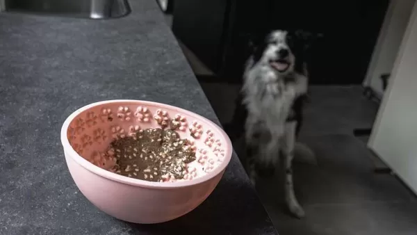 Eat Slow Live Longer Lick Mat Wobble Bowl | The Dog Lounge Outlet