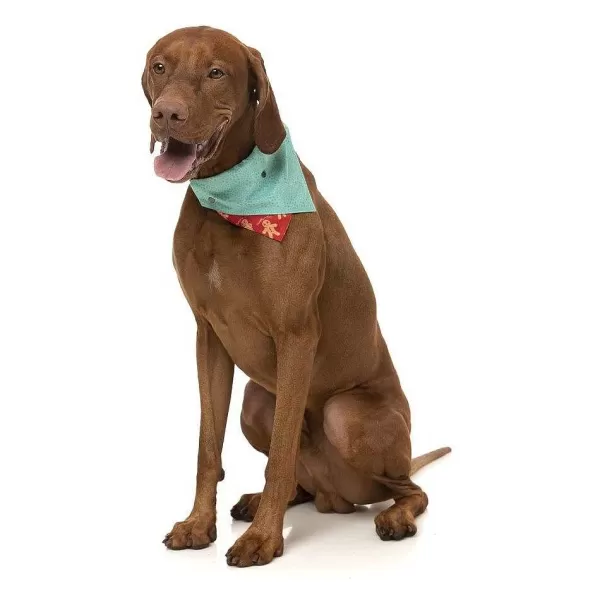 Xmas Bandana Naughty Ginger | Fuzzyard Hot