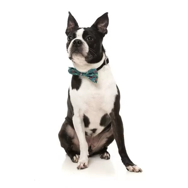 Xmas Bowtie Ho Ho Howdie | Fuzzyard Sale