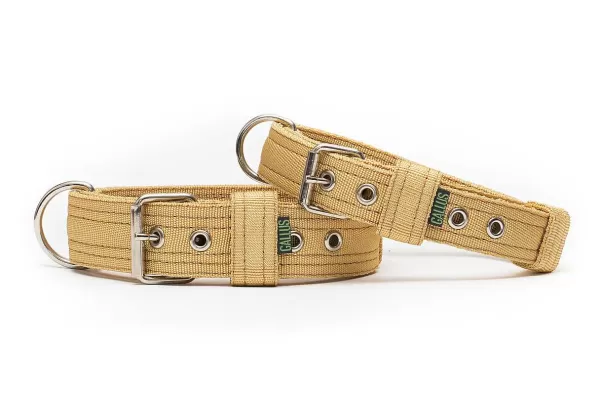 Halsband Beige / Gold | Gallus New