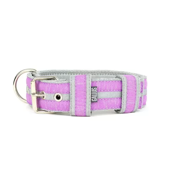 Halsband Grijs / Lila Glitter | Gallus Cheap