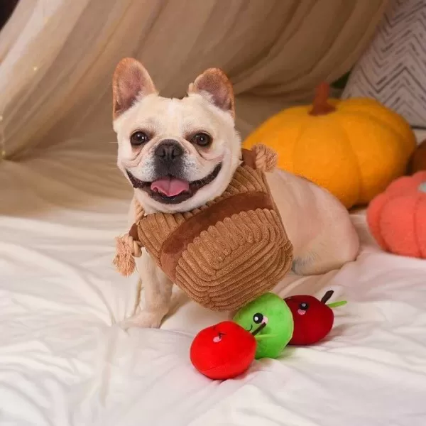 Hugsmart Autumn Tailz Apple Basket | The Dog Lounge New