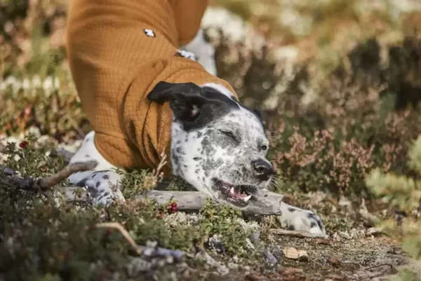 Warming Midlayer Eco Hondenjas | Hurtta Shop