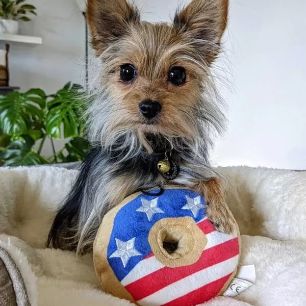Lulubelles Power Plush Stars And Stripes Donut | Huxley & Kent New