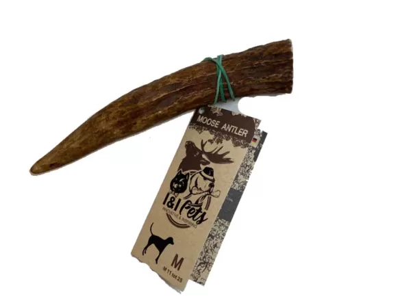 Moose Antler | I&I Pets Online