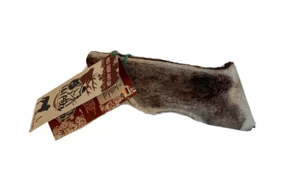 Red Deer | I&I Pets Online