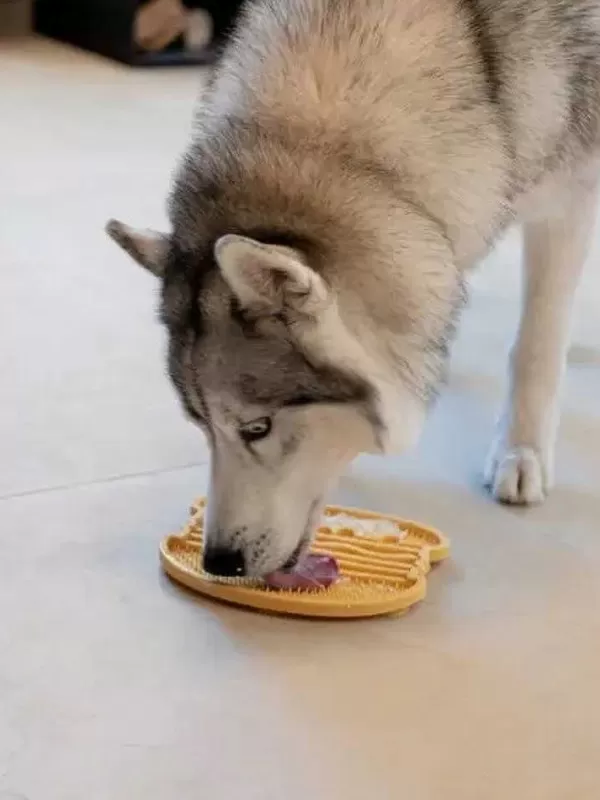 Yoomy Burger Likmat | Inooko Flash Sale