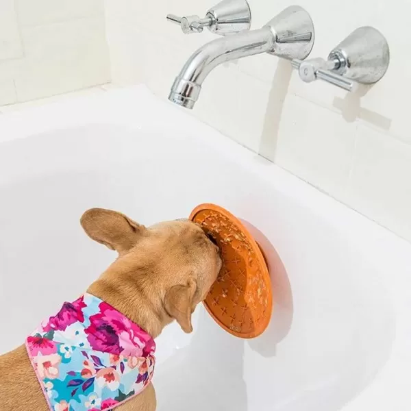 Splash | Lickimat Best Sale