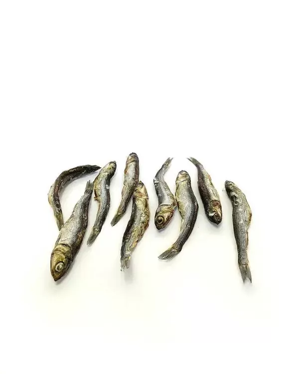 Ansjovis | Mr. Bones Sale