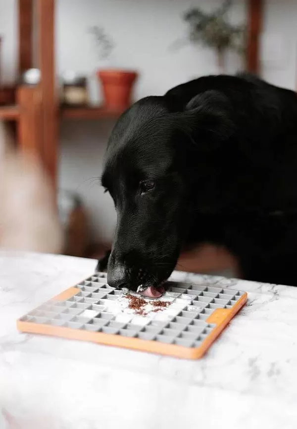 Sprinkles Atlantische Makreel | Mr. Bones Discount