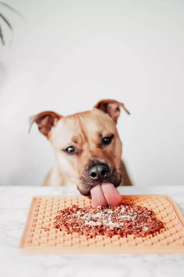 Sprinkles Atlantische Makreel | Mr. Bones Discount