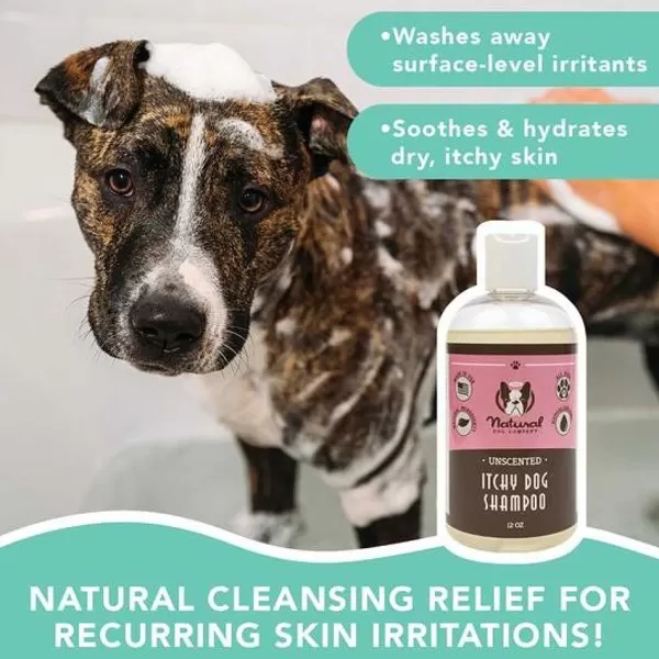 natural_dog_company_natural_dog_company_itchy_dog_shampoo_4.webp Itchy Dog Shampoo | Natural Dog Company Store
