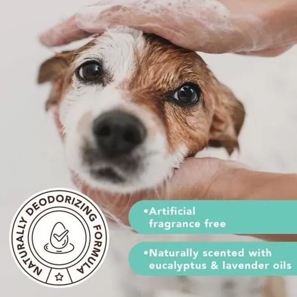 natural_dog_company_natural_dog_company_itchy_dog_shampoo_6.webp Itchy Dog Shampoo | Natural Dog Company Store