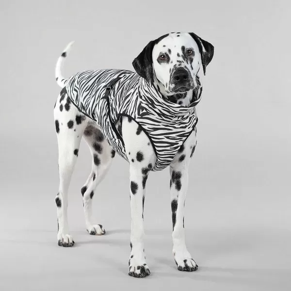 Cool & Bug Vest For Dogs | Paikka Store