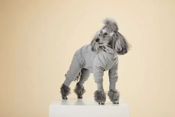 Recovery Overall | Paikka New