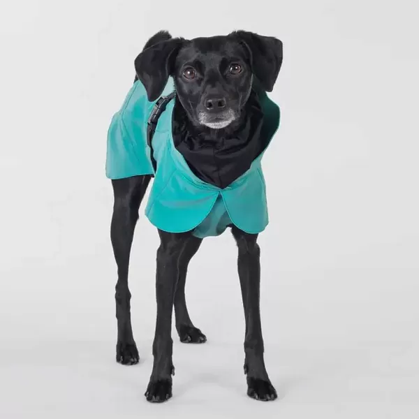 paikka_paikka_visibility_raincoat_emerald_3.webp Visibility Raincoat Emerald | Paikka Flash Sale