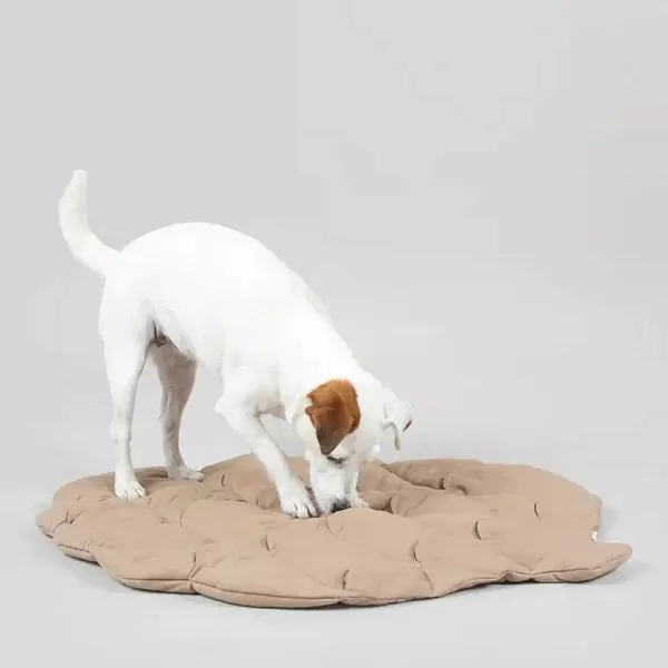 Playmat For Dogs - Pinecone | Paikka Cheap
