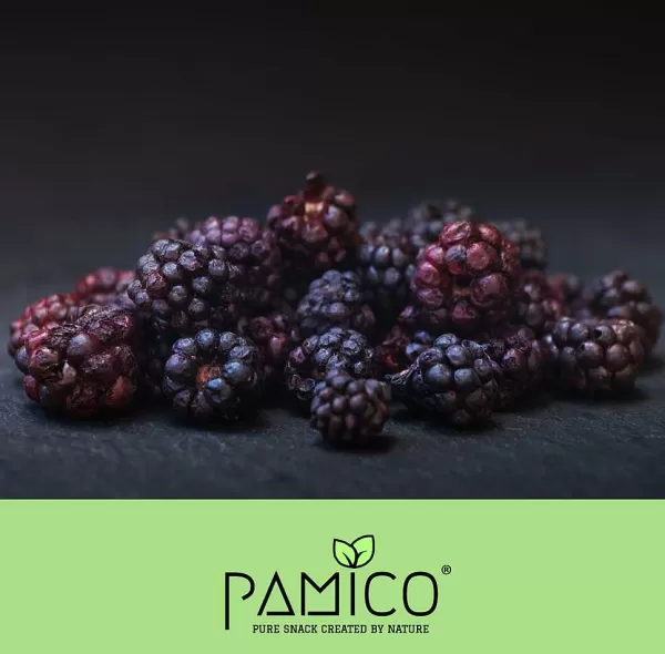 Goodies Gevriesdroogde Bramen | Pamico Discount