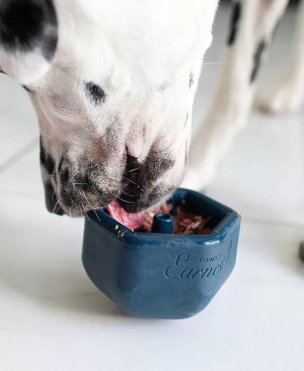 paws_in_earnest_rylo_4.webp Paws In Earnest Rylo | The Dog Lounge Fashion