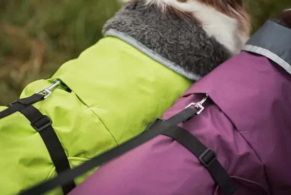 pomppa_peruspomppa_hondenjas_met_tuig_opening_5.webp Perus Hondenjas Met Tuig Opening | Pomppa Cheap