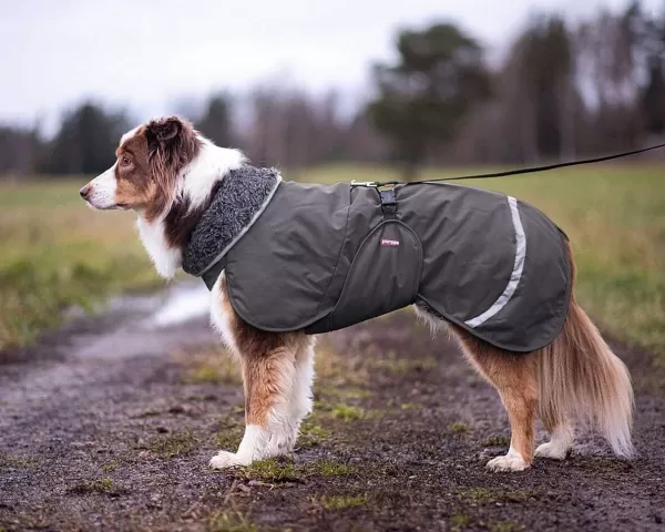 pomppa_peruspomppa_hondenjas_met_tuig_opening_6.webp Perus Hondenjas Met Tuig Opening | Pomppa Cheap