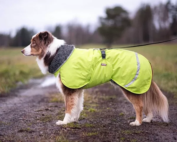 pomppa_peruspomppa_hondenjas_met_tuig_opening_8.webp Perus Hondenjas Met Tuig Opening | Pomppa Cheap