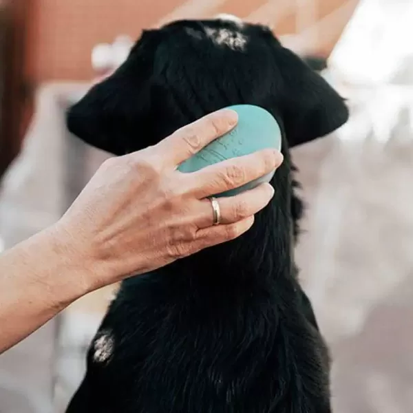 retorn_retorn_rub__dog_brush_2.webp Rub - Dog Brush | Retorn Clearance