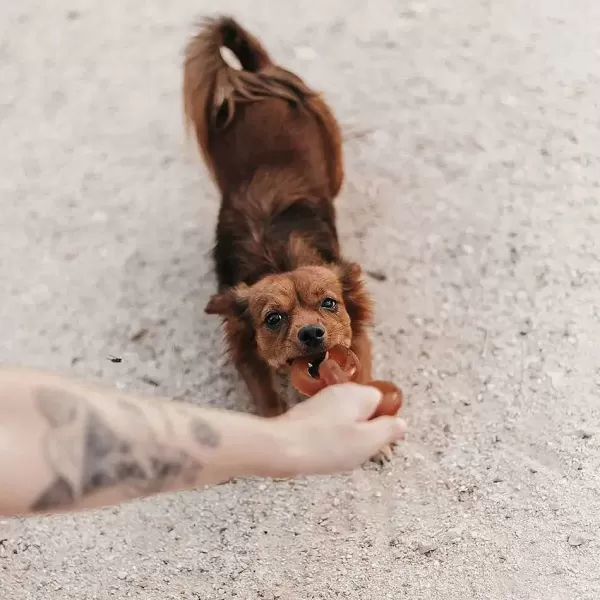 Rub - Rub Chain | Retorn New