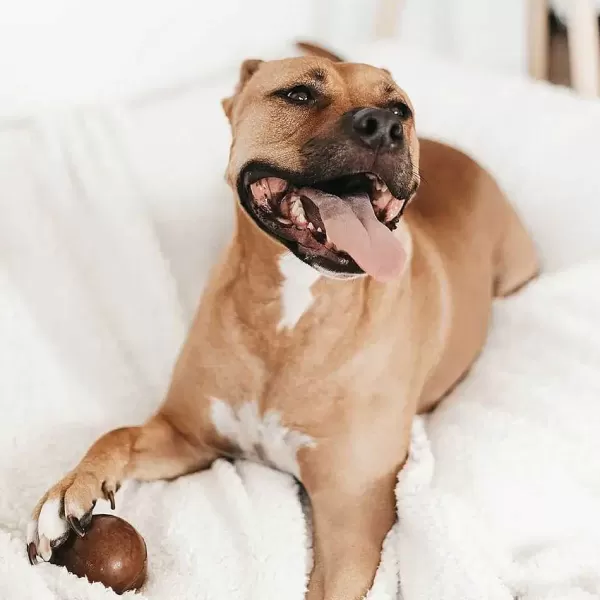 Rub - Strong Ball Organische Hars | Retorn Best Sale