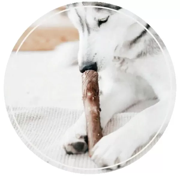 Rub Bio Stick Huid En Haar Beef | Retorn Fashion