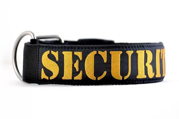 Supatuff Heavy Duty Security | Rogue Royalty Online