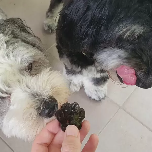 Lulu'S Kitchen Superfood Jelly Blueberry & Blue Spirulina | Rover Pet Products Lulu's Kitchen Discount