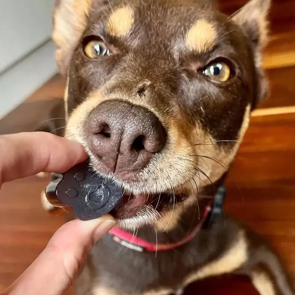 rover_pet_products_lulus_kitchen_lulus_kitchen_superfood_jelly_blueberry__blue_spirulina_8.webp Lulu'S Kitchen Superfood Jelly Blueberry & Blue Spirulina | Rover Pet Products Lulu's Kitchen Discount