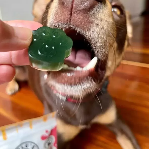 Lulu'S Kitchen Superfood Jelly Spinach & Green Spirulina | Rover Pet Products Lulu's Kitchen Sale