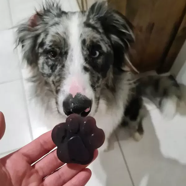 Lulu'S Kitchen Superfood Jelly Strawberry | Rover Pet Products Lulu's Kitchen Best